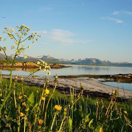 Sjarmerende hus med orkesterplass til hav og fjell Stave Eksteriør bilde
